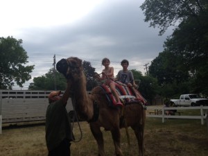 Belleville Strawberry Festival