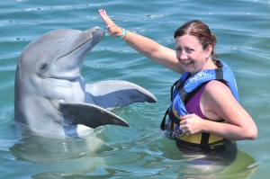 Dolphins in San Jose Cabo