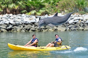 Dolphin Kayak in San Jose Cabo