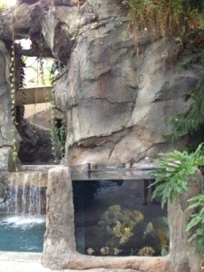 Biosphere Pool Fish Tank