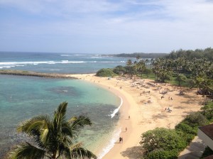 Turtle Bay Resort View